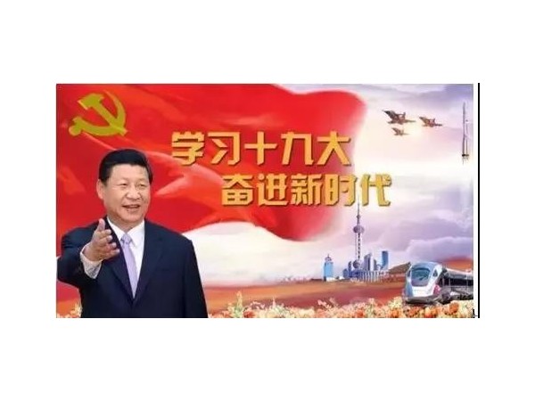 91视频观看污下载党总支开展党员